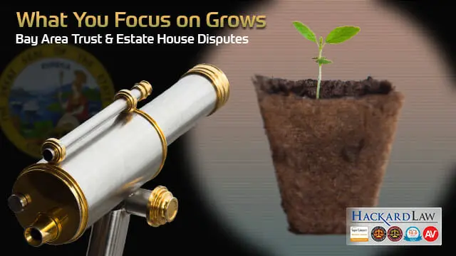 What You Focus on Grows | Bay Area Trust & Estate House Disputes