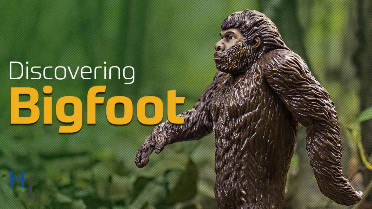 Bigfoot | A Grandson’s Discovery