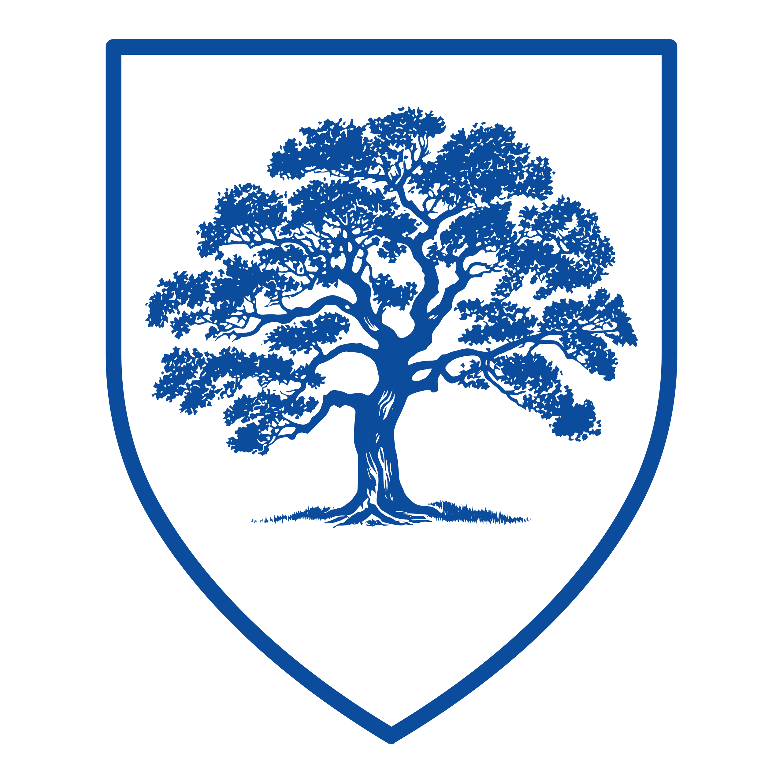 Elder Legacy Press Logo Blue #0b4c9c